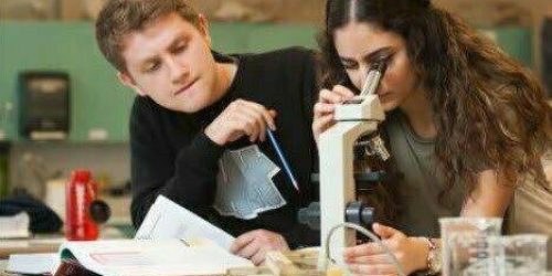 asignaturas high school estados unidos